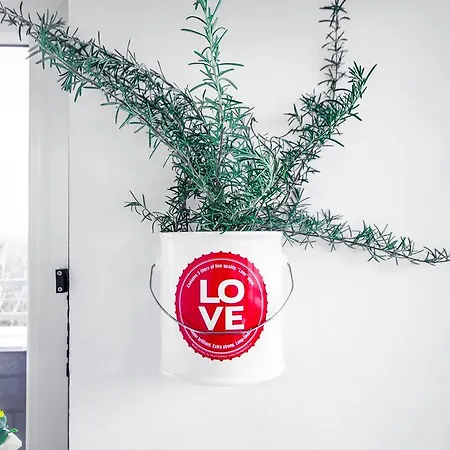 לינה וארוחת בוקר Casa Al Castello 4*